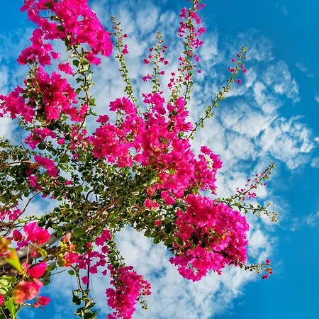 San Marino By Calm Collection Hotel